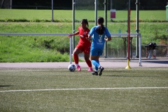 VfL Sindelfingen (B1) - VfL Sindelfingen (F1) (02.09.2023)