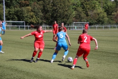 VfL Sindelfingen (B1) - VfL Sindelfingen (F1) (02.09.2023)