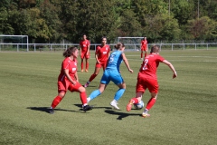 VfL Sindelfingen (B1) - VfL Sindelfingen (F1) (02.09.2023)