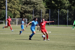 VfL Sindelfingen (B1) - VfL Sindelfingen (F1) (02.09.2023)