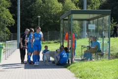 VfL Sindelfingen (B1) - VfL Sindelfingen (F1) (02.09.2023)