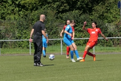 VfL Sindelfingen (B1) - VfL Sindelfingen (F1) (02.09.2023)