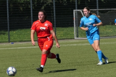 VfL Sindelfingen (B1) - VfL Sindelfingen (F1) (02.09.2023)