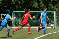 VfL Sindelfingen (B1) - VfL Sindelfingen (F1) (02.09.2023)