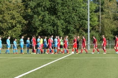 VfL Sindelfingen (B2) - 1. FC Norm. Gmünd (23.09.2023)