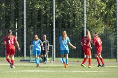 VfL Sindelfingen (B2) - 1. FC Norm. Gmünd (23.09.2023)