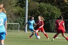 VfL Sindelfingen (B2) - 1. FC Norm. Gmünd (23.09.2023)