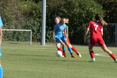 VfL Sindelfingen (B2) - 1. FC Norm. Gmünd (23.09.2023)