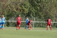 VfL Sindelfingen (B2) - 1. FC Norm. Gmünd (23.09.2023)