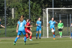 VfL Sindelfingen (B2) - 1. FC Norm. Gmünd (23.09.2023)