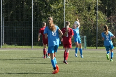 VfL Sindelfingen (B2) - 1. FC Norm. Gmünd (23.09.2023)