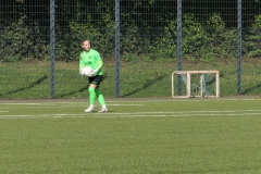 VfL Sindelfingen (B2) - 1. FC Norm. Gmünd (23.09.2023)