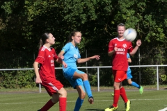 VfL Sindelfingen (B2) - 1. FC Norm. Gmünd (23.09.2023)