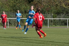 VfL Sindelfingen (B2) - 1. FC Norm. Gmünd (23.09.2023)