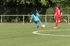 VfL Sindelfingen (B2) - 1. FC Norm. Gmünd (23.09.2023)