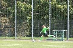 VfL Sindelfingen (B2) - 1. FC Norm. Gmünd (23.09.2023)