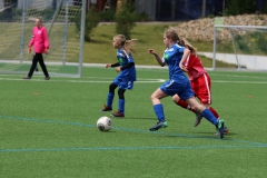 VfL Sindelfingen (C) - SGM Nufringen/Gärtringen/Rohrau (11.05.2019)