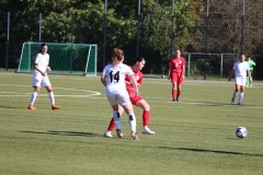 VfL Sindelfingen Ladies (F) - FV Löchgau (01.10.2023)