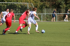 VfL Sindelfingen Ladies (F) - FV Löchgau (01.10.2023)