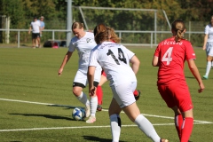 VfL Sindelfingen Ladies (F) - FV Löchgau (01.10.2023)