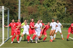 VfL Sindelfingen Ladies (F) - FV Löchgau (01.10.2023)