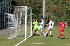 VfL Sindelfingen Ladies (F) - FV Löchgau (01.10.2023)