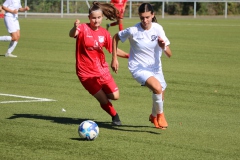 VfL Sindelfingen Ladies (F) - FV Löchgau (01.10.2023)