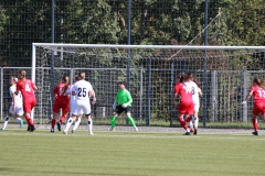 VfL Sindelfingen Ladies (F) - FV Löchgau (01.10.2023)