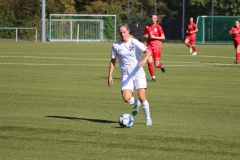 VfL Sindelfingen Ladies (F) - FV Löchgau (01.10.2023)