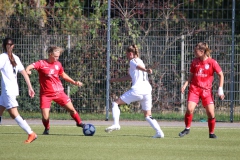 VfL Sindelfingen Ladies (F) - FV Löchgau (01.10.2023)