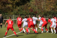 VfL Sindelfingen Ladies (F) - FV Löchgau (01.10.2023)