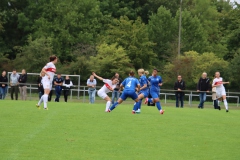 VfL Sindelfingen (F) - VfB Stuttgart (27.08.2023)