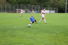 VfL Sindelfingen (F) - VfB Stuttgart (27.08.2023)