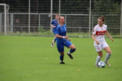 VfL Sindelfingen (F) - VfB Stuttgart (27.08.2023)