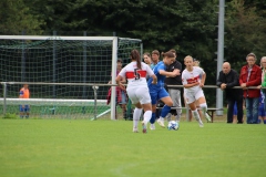 VfL Sindelfingen (F) - VfB Stuttgart (27.08.2023)