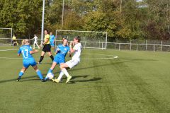 VFL Sindelfingen Ladies (B1) - FC Bayern München (29.10.2022)