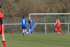 VfL Sindelfingen Ladies (B1) - VfL Sindelfingen Ladies (B2) (17.02.2024)