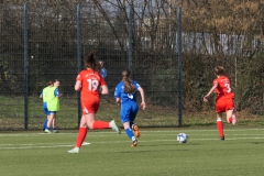 VfL Sindelfingen Ladies (B1) - VfL Sindelfingen Ladies (B2) (17.02.2024)