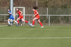 VfL Sindelfingen Ladies (B1) - VfL Sindelfingen Ladies (B2) (17.02.2024)