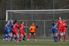 VfL Sindelfingen Ladies (B1) - VfL Sindelfingen Ladies (B2) (17.02.2024)