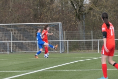 VfL Sindelfingen Ladies (B1) - VfL Sindelfingen Ladies (B2) (17.02.2024)