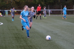 VfL Sindelfingen Ladies (B2) - Fc Biegelkicker Erdmannhausen (05.11.2022)