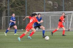 VfL Sindelfingen Ladies (B2) - VfR Klosterreichenbach (10.02.2024)