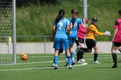 VfL Sindelfingen Ladies (C) - SpVgg Berneck-Zwerenberg (11.05.2024)