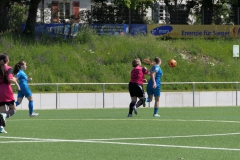 VfL Sindelfingen Ladies (C) - SpVgg Berneck-Zwerenberg (11.05.2024)