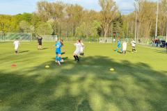 VFL Sindelfingen Ladies (D1) - SGM Mönchberg II (10.04.2024)