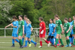 VFL Sindelfingen Ladies (D1) - VfL Hochdorf (05.05.2024)