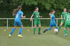 VFL Sindelfingen Ladies (D1) - VfL Hochdorf (05.05.2024)