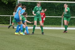 VFL Sindelfingen Ladies (D1) - VfL Hochdorf (05.05.2024)