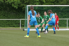 VFL Sindelfingen Ladies (D1) - VfL Hochdorf (05.05.2024)